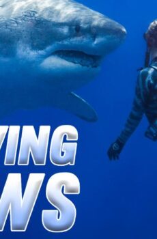 فيلم Saving Jaws 2019 مترجم