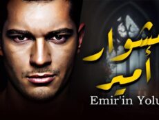 مسلسل مشوار أمير الحلقة 8 مترجمة