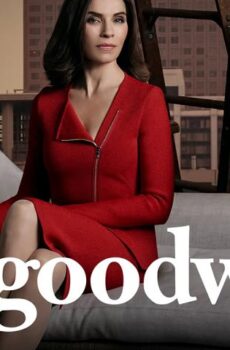 The Good Wife الموسم 6