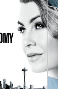 Grey’s Anatomy الموسم 14