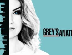 مسلسل Grey’s Anatomy الموسم 13 الحلقة 3 مترجمة
