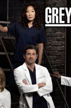 Grey’s Anatomy الموسم 9