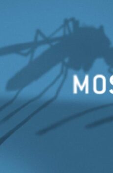 فيلم Mosquito State 2020 مترجم