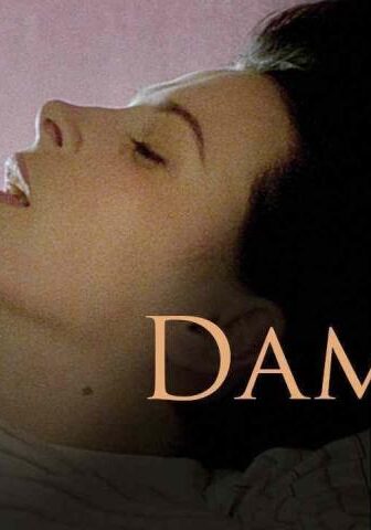 فيلم Damage 1992 مترجم