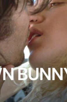 فيلم The Brown Bunny 2003 مترجم