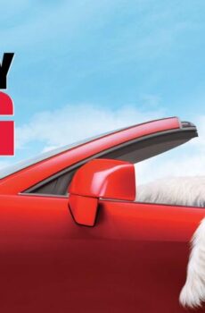 فيلم The Shaggy Dog 2006 مترجم