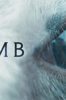 فيلم Lamb 2021 مترجم