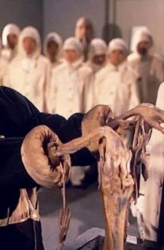 فيلم Man Behind the Sun 1988 مترجم