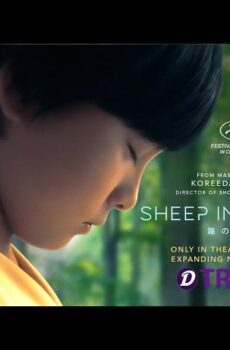 فيلم الخروف في الصندوق Sheep in the Box 2026 مترجم