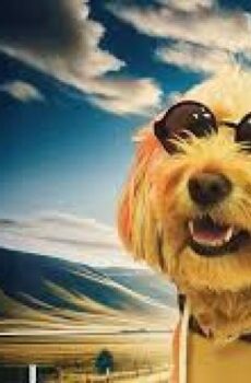 فيلم Dog Fugitive 2025