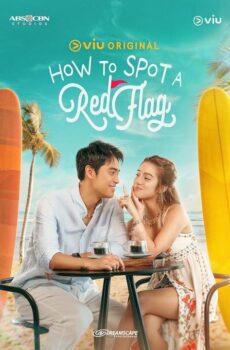 كيف تعرف العلاقة الخطرة How to Spot a Red Flag
