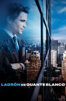 White Collar الموسم 6