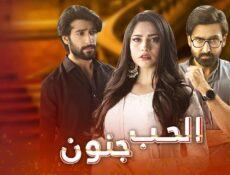 مسلسل الحب جنون الحلقة 11 الحادية عشر مدبلج