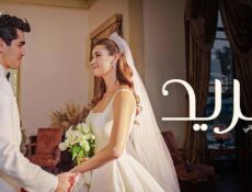 مسلسل فريد الموسم 2 الحلقة 143 مدبلجة