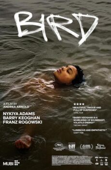 فيلم Bird 2024 مترجم
