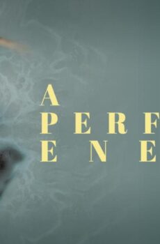 فيلم A Perfect Enemy 2020 مترجم