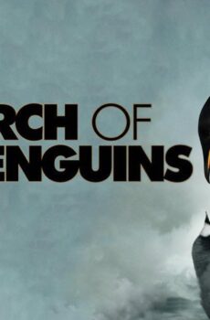 فيلم March Of The Penguins 2005 مترجم