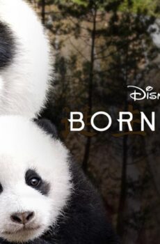 فيلم Born in China 2016 مترجم