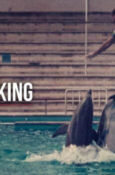 فيلم The Last Dolphin King 2022 مترجم