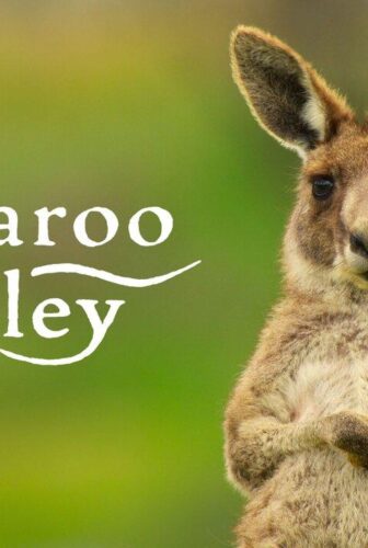 فيلم Kangaroo Valley 2022 مترجم