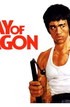 فيلم The Way Of The Dragon 1972 مترجم