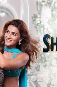 فيلم Shehzada 2023 مترجم