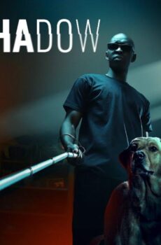 فيلم In His Shadow 2023 مترجم