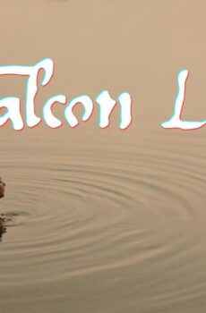 فيلم Falcon Lake 2022 مترجم