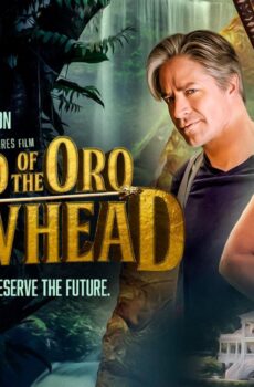 فيلم Oro Arrowhead 2021 مترجم