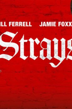 فيلم Strays 2023 مترجم