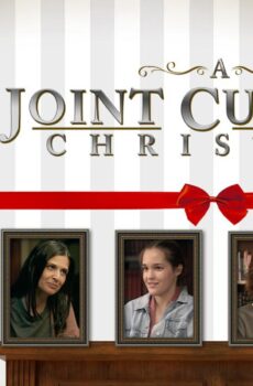 فيلم A Joint Custody Christmas 2025 مترجم