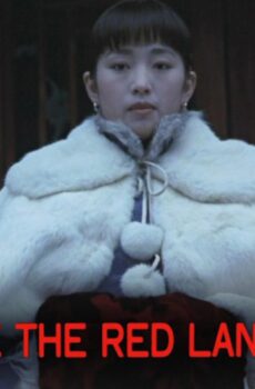 فيلم Raise The Red Lantern 1991 مترجم