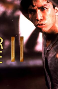 فيلم Tiger Cage II 1990 مترجم