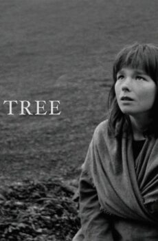 فيلم The Juniper Tree 1990 مترجم