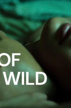 فيلم Days Of Being Wild 1990 مترجم