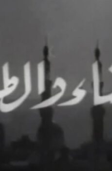 فيلم الحسناء و الطلبة 1963