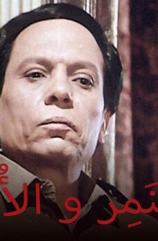 فيلم النمر والأنثى 1987