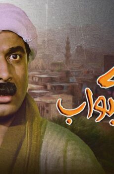 فيلم البيه البواب 1987